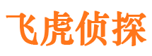 宜章市侦探调查公司